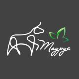 Taurus-market.ru