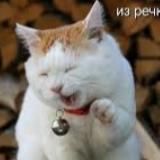 ЛАДЕСОВ СЛИВ