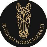 RUSSIAN HORSE MARKET | РОССИЙСКИЙ КОННЫЙ РЫНОК