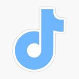 TikTok Premium (ЧАТ)