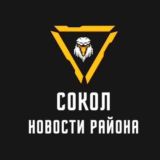 Касается Сокола