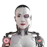 Bot Verzeichnis