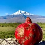 Армянский национальный канал 🍇