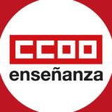 CCOO Enseñanza Región de Murcia PNU