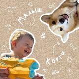 Малыш и корги