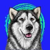 HUSMUT 🐺🐺🐺 ХАСМУТ