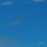 Cuckoo Network Chat