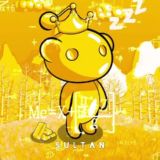 Sultan Plays 🐳