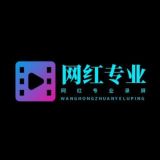 网红专业录屏