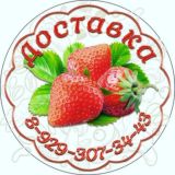 Dar_sibiri124