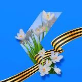 Культура24