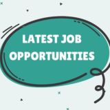 Software Developer Jobs & IT Internships