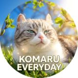 Komaru Everyday ⛱️