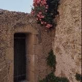 Taliba