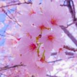 مَا يؤنسُ الروحَ سَلاماً.💞