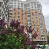 Буденного 26_Соколиная гора