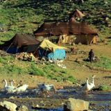 هه وار نشینان