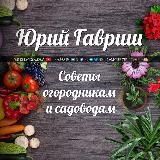 Дача. Сад. Огород: Полезные советы по дому и участку