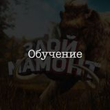 Злой Мамонт Обучение🦣