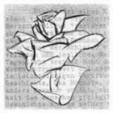 La Rosa Bianca Channel