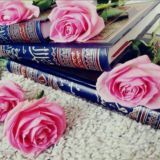 فصبر صبرا جميلا ⚜