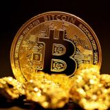 CRYPTO&MEME Coin Information Channel (迷因幣情報分享頻道）