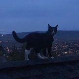 подвал