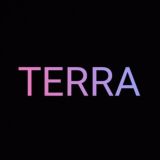 Кроссовки "TERRA"
