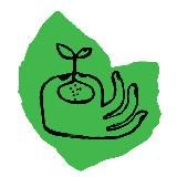 TD SEEDEX| CBD