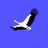 Пруская вольница
