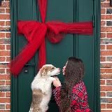 Verity_home
