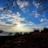 Birgit Fischer Chat
