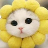 Флудильня Ретушеров