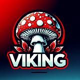 VIKING | Грибной Колым