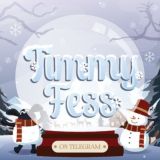 Timmy Fess