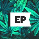 Noticias: cannabis, psicodélicos, música, crypto y más