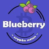 Blueberry Crypto Media🫐