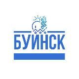Совет Буинского муниципального района