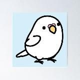 LOLO The Hawk - Ann