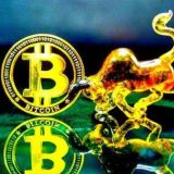 CRYPTO NEWS