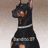 🥀Bandito07🥀