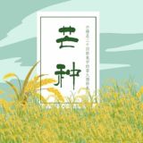 领悟
