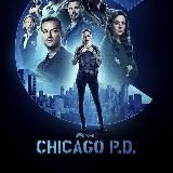 Chicago PD P.D. Season 1 - 13