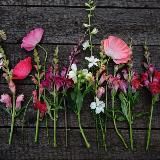 Мадам Юстус. Цветы и Сад/MadameJustus.Garden