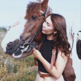 Культурный кот(д)
