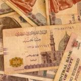 كل يوم فلوس 🤑❤️🔥