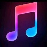 tiktok muzika