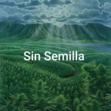 Sin semilla