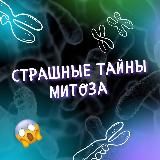 Биология | Евгения Кондратьева