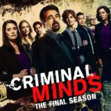 🇫🇷 ESPRITS CRIMINELS / CRIMINAL MINDS VF FRENCH SAISON 1 à 16 INTEGRALE